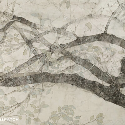 個展のお知らせ